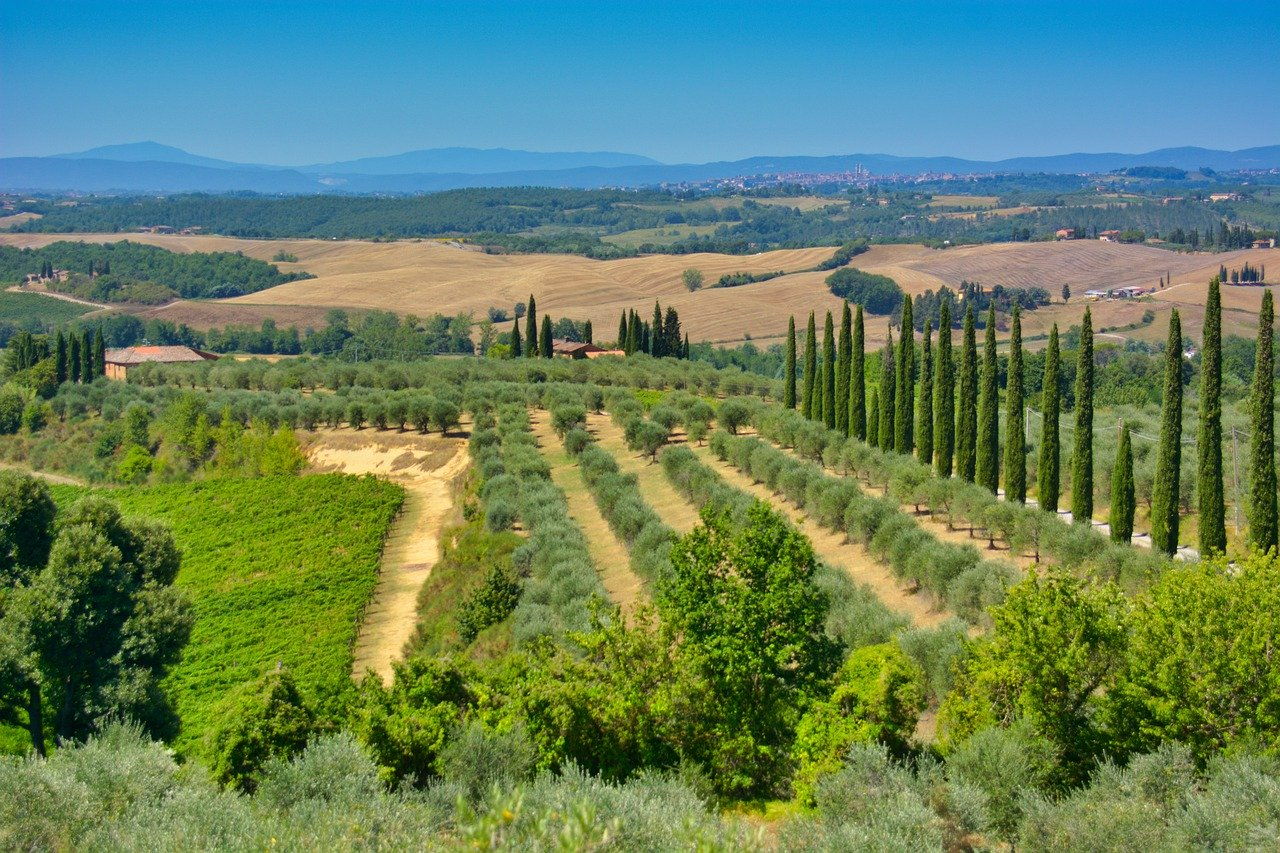 toscana team building