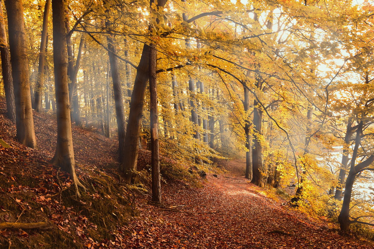 foresta team-building-ottobre
