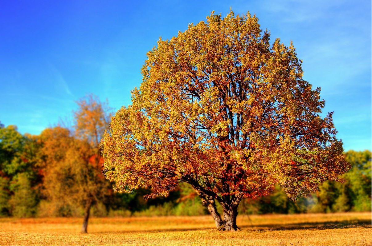 team building autunno