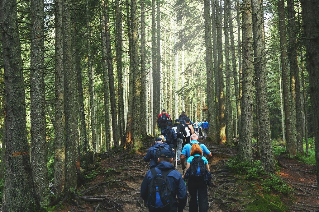 trekking_team_building