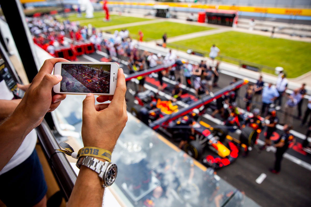 paddock2