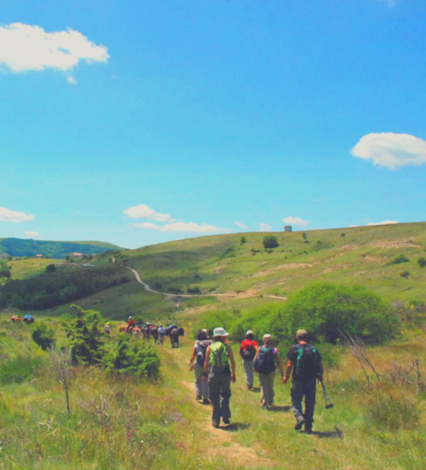 Team walking