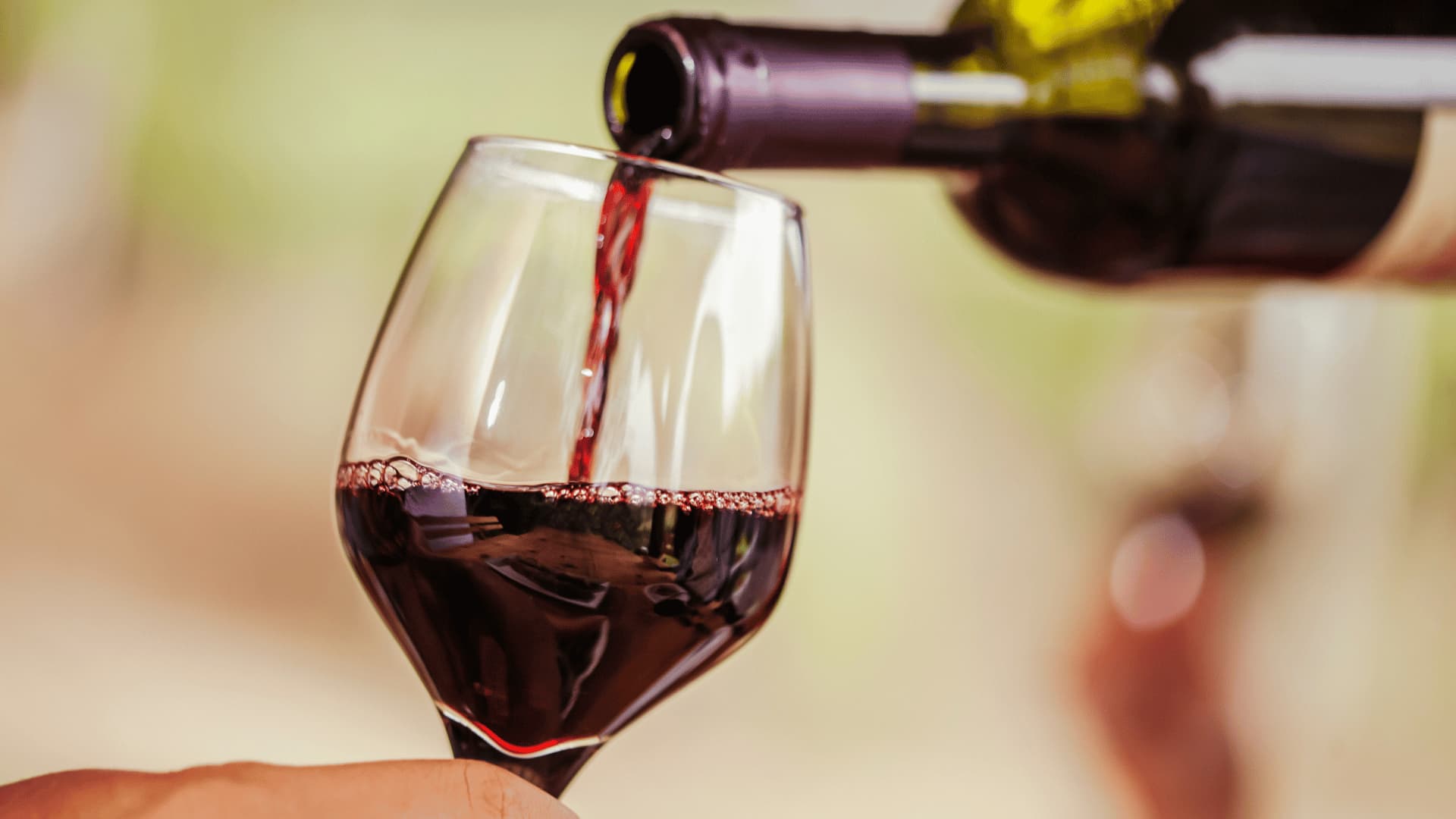 Wine team building