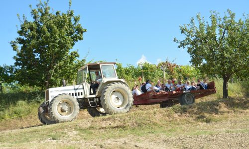 La fattoria