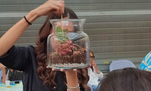 Terrarium