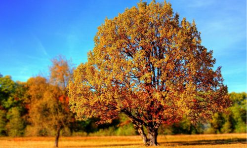 team building autunno