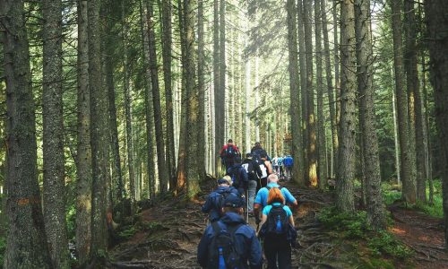trekking_team_building
