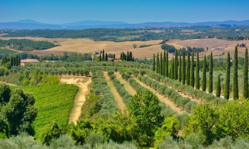 toscana team building